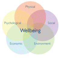 Primary Spine Practitioner - A Biopsychosocial Model of Paitent Care